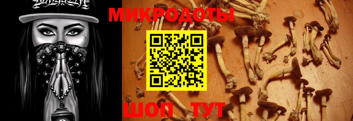 Псилоцибиновые грибы Psilocybine cubensis Рославль